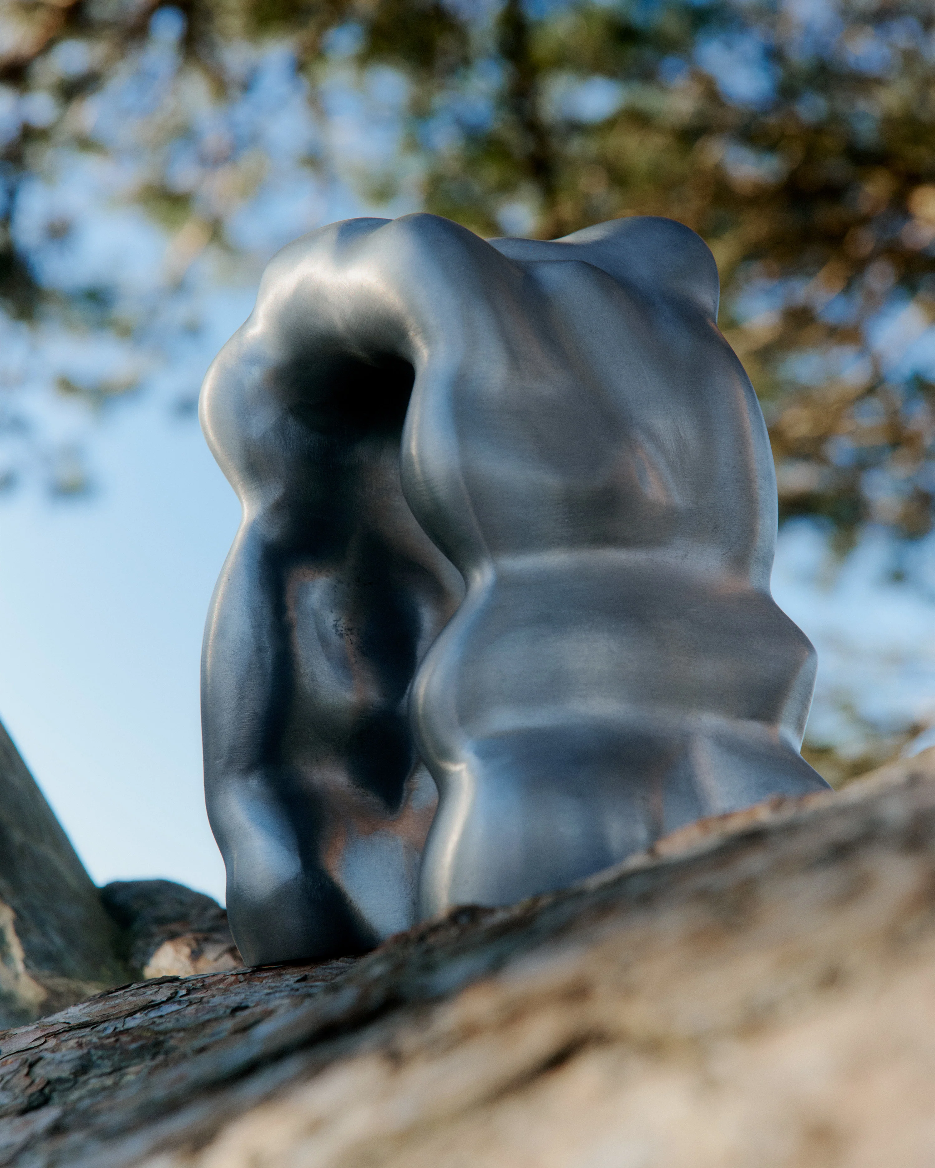 Dekoracja MORF SCULPTURE szczotkowane aluminium - Image 10
