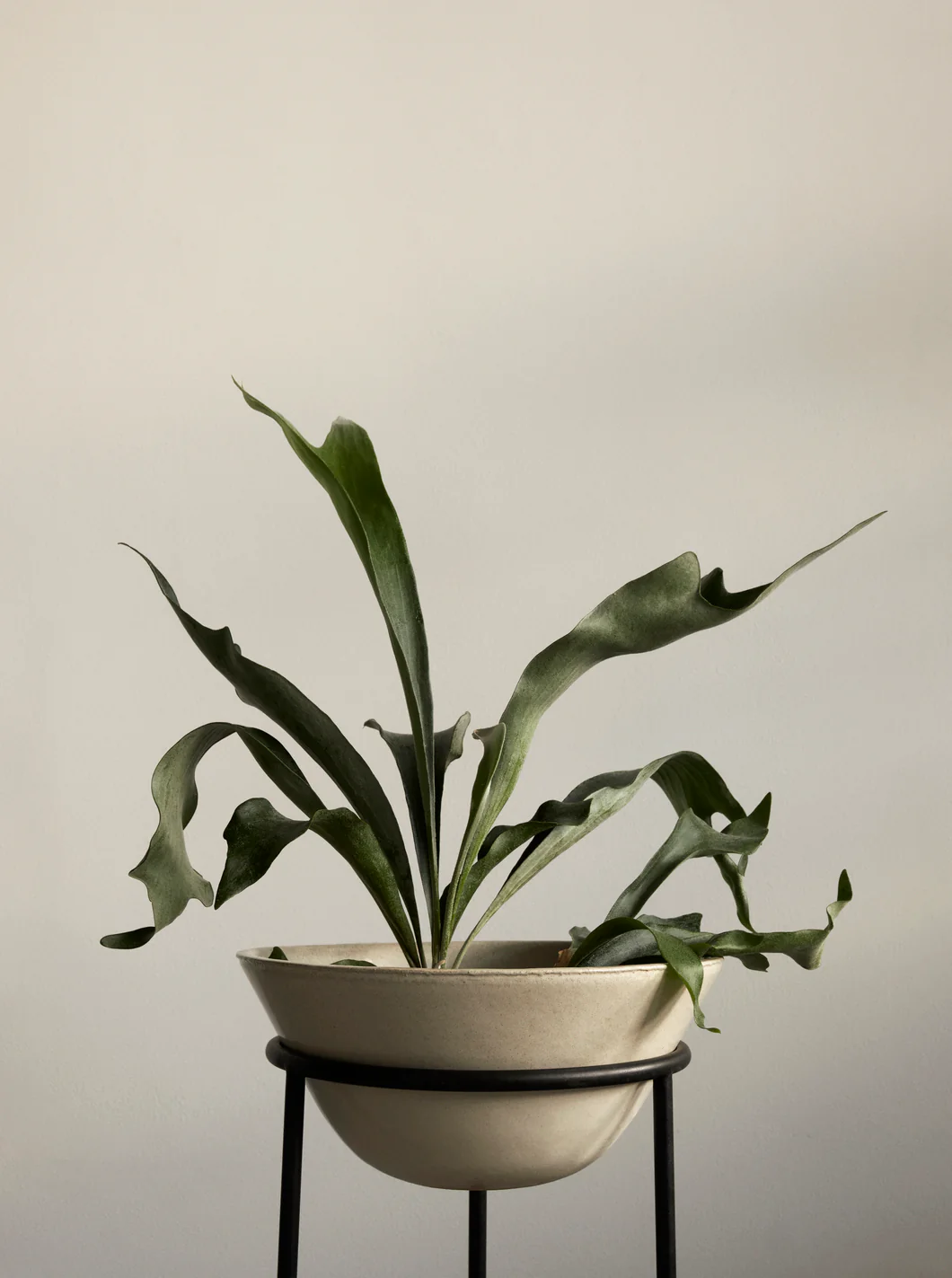 Donica DAIZA ceramika - Image 3