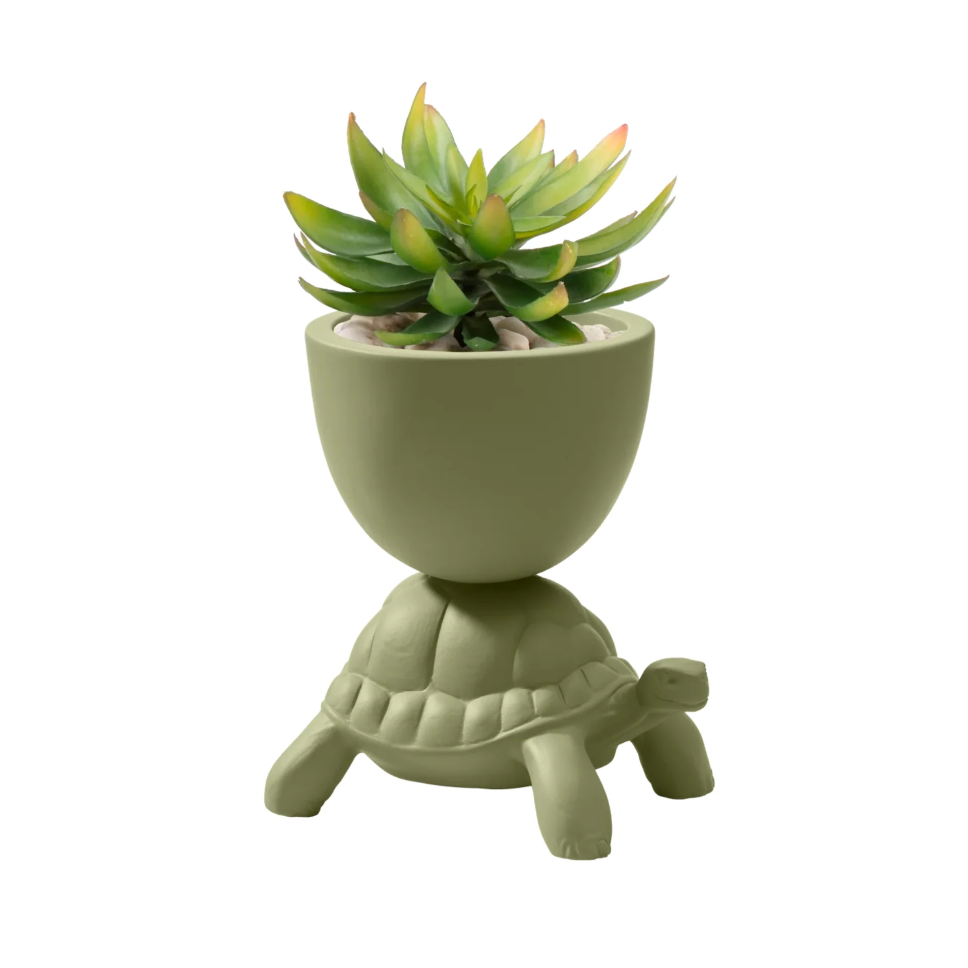 Doniczka TURTLE CARRY zielony