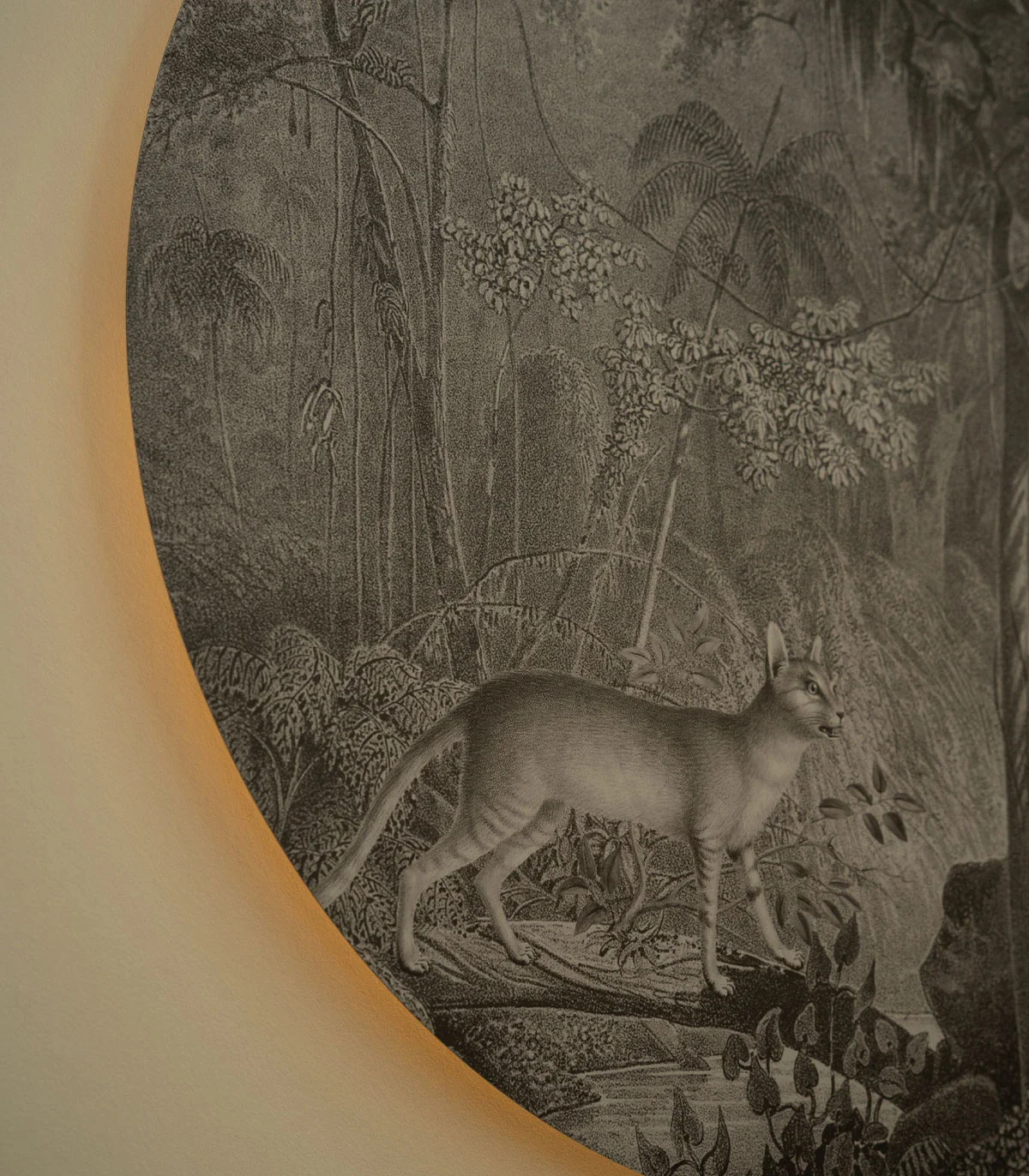 Lampa ścienna DOTS LIGHTING - JUNGLE CAT szary - Image 5