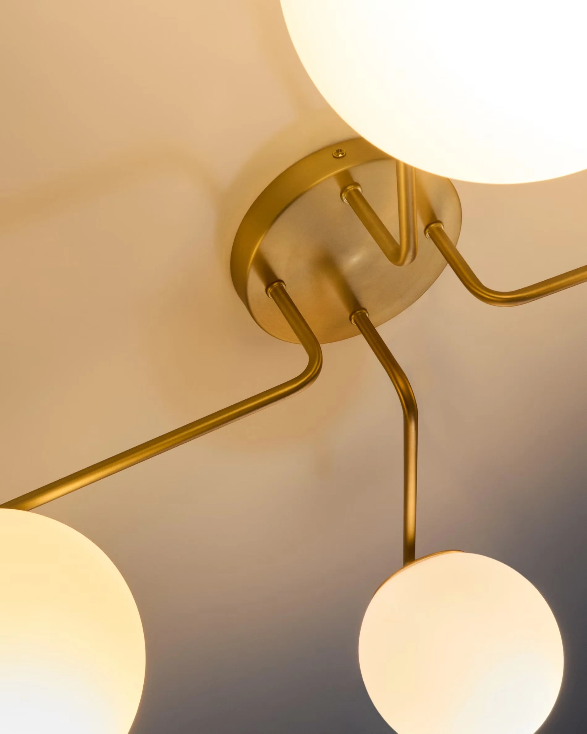 Lampa sufitowa czteropunktowa BRISIA szczotkowany mosiądz - Image 3