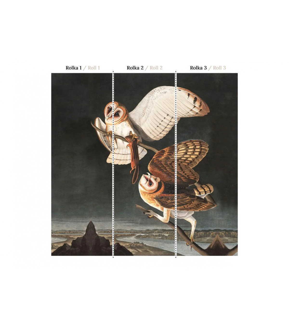 Tapeta OWLS - Image 3