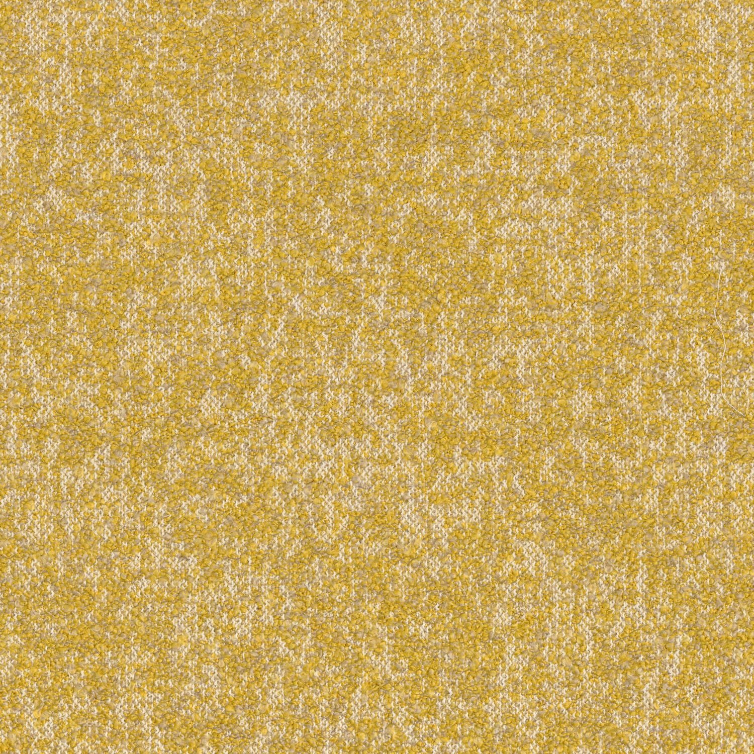 Tapeta tekstylna strukturalna boucle EXQUIS - MOUTARDE musztardowy