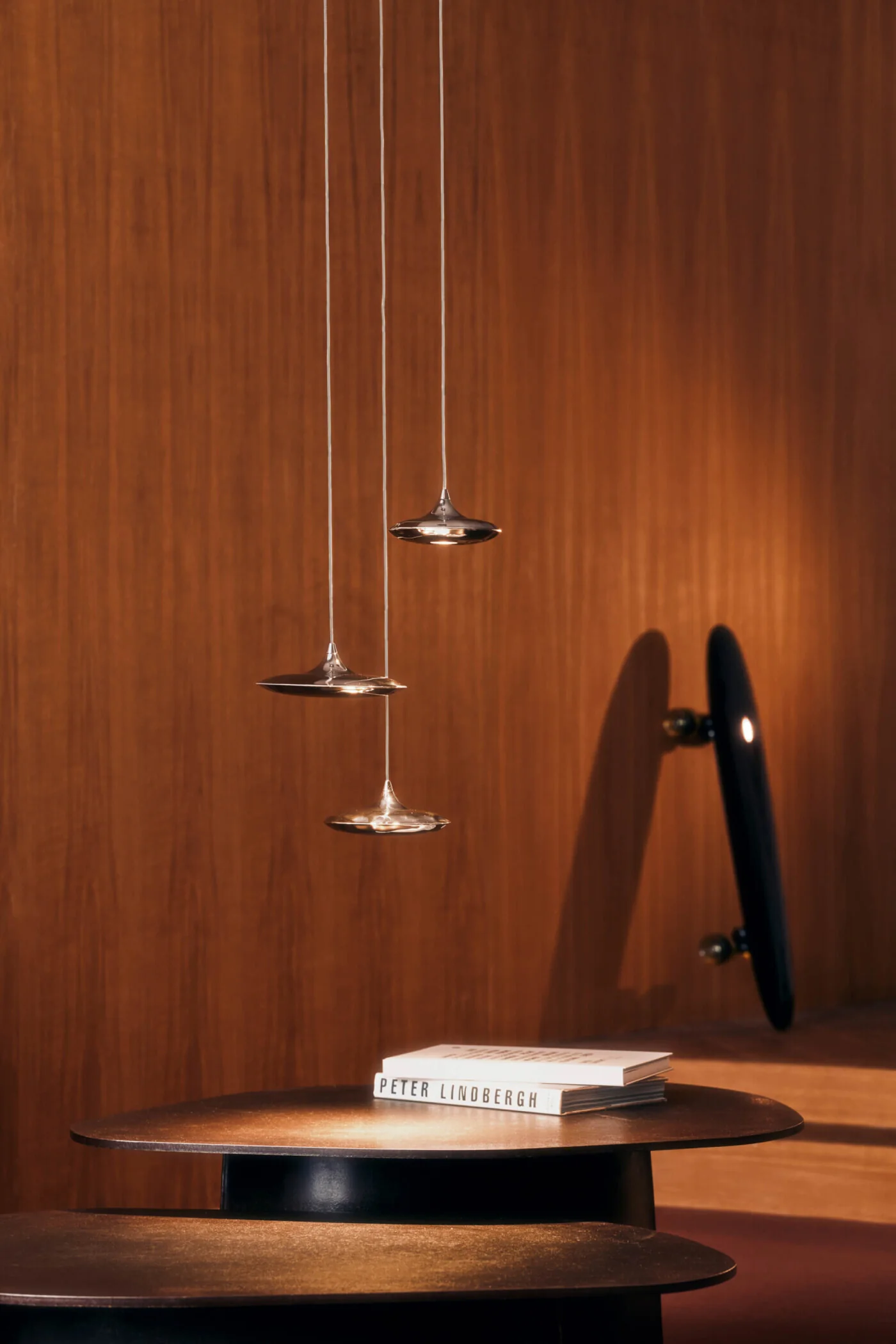 Zestaw lamp wiszących LAMPIN inox - Image 6